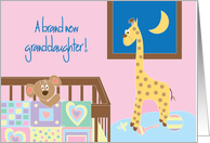 Congratulations for New Baby Granddaughter with Nursery card