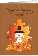 First Thanksgiving for Grandson with pilgrim-hatted puppy card