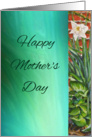 Daffodil Mothers Day Card