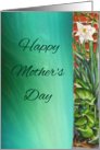 Daffodil Mothers Day Card