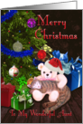 Merry Christmas Aunt - Kitty, Teddy Bear, and Christmas Tree card
