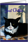 Tuxedo Cat Next to a Sunny Window - Tuxedo Cat Retirement card