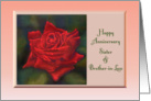 Happy Anniversary Sister & Brother-in-Law vivid red rose against green card