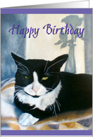 Tuxedo Cat on a Blanket Next to Sunny Window - Tuxedo Cat Birthday card