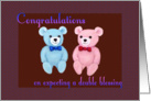 Congratulations on Expecting Fraternal Twins - blue & pink Teddy Bears card
