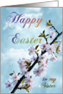 Happy Easter Spring Blossom for Sister card