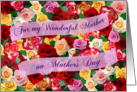 For my Wonderful Mother on Mothers Day Bed of Roses card