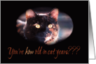 Youre How Old Kitty Cat Birthday card
