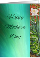 Daffodil Mothers Day Card