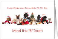 The B Team Kittens and Puppies Christmas card