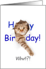 Cute Cat Tears Through Happy Belated Birthday card