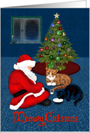 Santa Shares with Kitties Christmas card