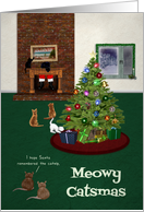 Christmas Cats Looking for Catnip from Santa card