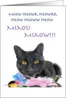Happy Birthday Black Cat with Feathers Mr. P card
