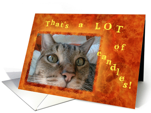 A LOT of Candles - Funny Tabby Cat Birthday card (851460)