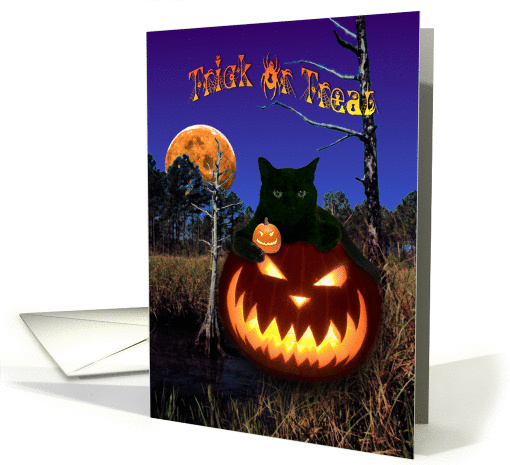 Black Cat & Pumpkin / Jack O'Lantern under Harvest Moon Halloween card
