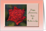 Happy Anniversary Sister & Brother-in-Law vivid red rose against green card