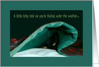 Get Well - Kitty Told Me Youre Feeling Under the Weather - Black Cat card