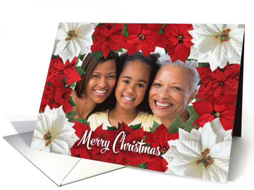 Merry Christmas Poinsettia Photo card (875841)