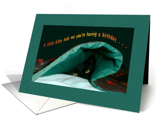 Happy Birthday Kitty Under Covers Told Me card (879847)