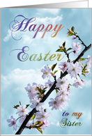 Happy Easter Spring Blossom for Sister card