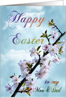 Happy Easter Spring Blossom for Mom & Dad card