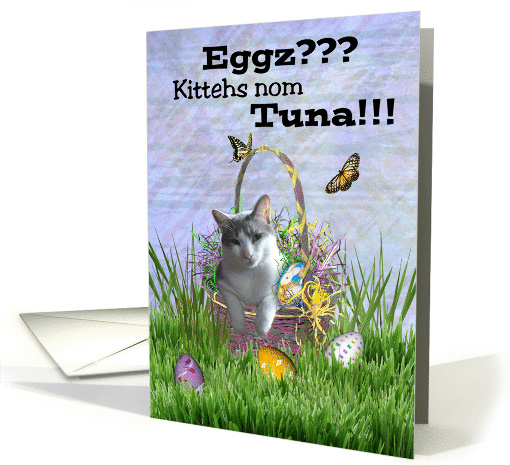 Kitty Cat in Easter Basket w/ Eggs and Butterflies -... (916270)
