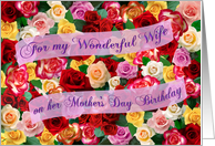 For my Wonderful Wife on her Mothers Day Birthday Bed of Roses card