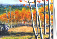 Colorado Fall with Mountains and Aspens Blank Note Card