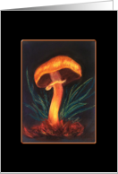 Colorful Mushroom on Black Blank Note Card