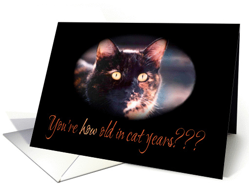 You�re How Old Kitty Cat Birthday card (980729)