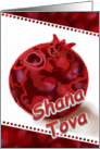 Shana Tova Red Pomegranate Hebrew Jewish New Year fun Shanah card