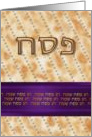 Passover חג פסח שמח Hebrew Ivrit fun Matzah Matzo card