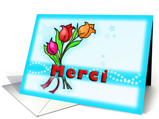 Merci , Je vous remercie de tout cur French Thank you fun... (892085)