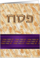 Passover חג פסח שמח Hebrew Ivrit fun Matzah Matzo card