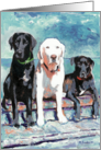 Three Labrador Retriever Dogs card