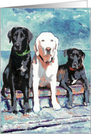 Three Labrador Retriever Dogs card