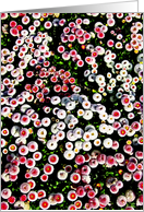 Button Flowers card