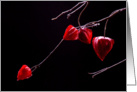 Chinese lantern card