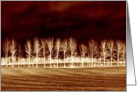 Poplar trees in negative card