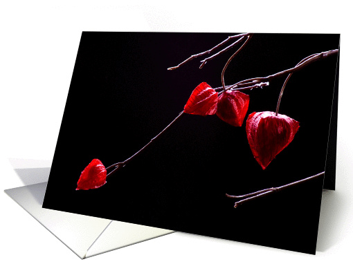 Chinese lantern card (847000)