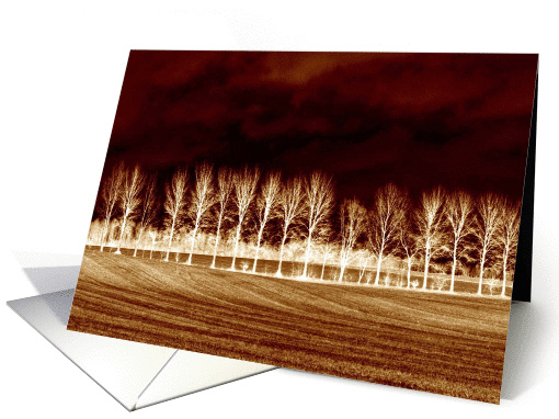 Poplar trees in negative card (847031)