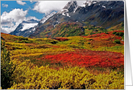 Colorful Land ... (Alaska) card