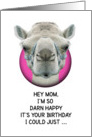 Happy Birthday Mom Funny Camel card