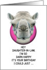 Happy Birthday Daughter-in-Law Funny Camel card