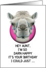 Happy Birthday Aunt Funny Camel card