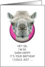 Sister Birthday Funny Camel card