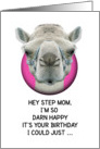 Happy Birthday Step Mom Funny Camel card