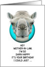 Happy Birthday Mother-in-Law Funny Camel card