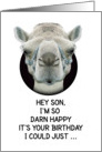 Happy Birthday Son Funny Camel card